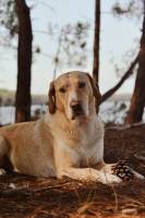 Sade DEFRETIÈRE - sadedefretierephotographe@gmail.com