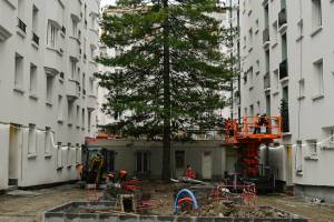 Pablo BAILLEUL - Bailleul